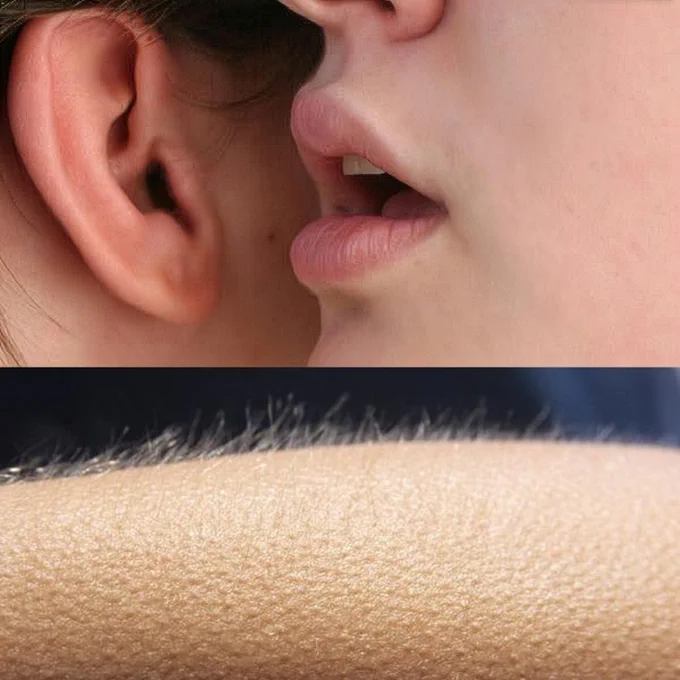 The "literal goosebumps" split image meme. The top image shows a close-up view of a person's face, with their lips and part of their ear visible. The bottom image shows a close-up view of a person's forearm with goosebumps and raised hairs. 