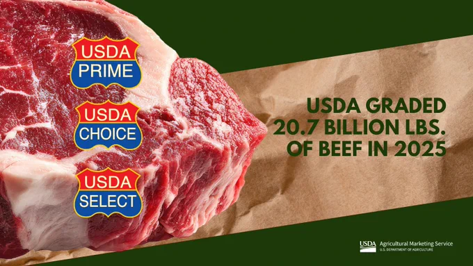 Raw beef cuts labeled with "USDA Prime," "USDA Choice," and "USDA Select" on a green background. Text reads, "USDA graded 20.7 billion lbs. of beef in 2025." USDA logo in the corner.