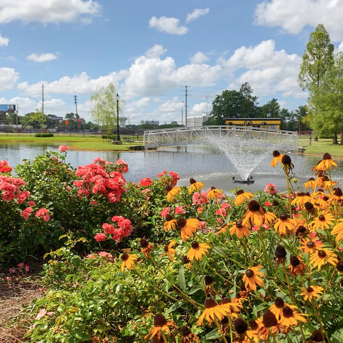 Black-eyed Susans and pink flowers bloom in the foreground, with a lake in the distance featuring a water spout and a white bridge surrounded by trees. 