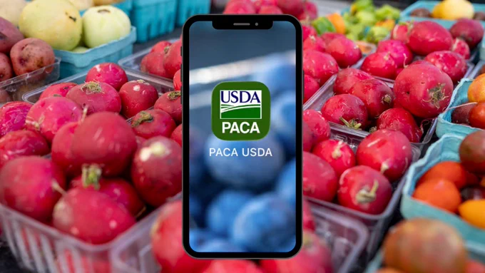 A smartphone with the USDA PACA logo on its screen is placed among containers of ripe red and yellow pomegranates and other assorted fruits.