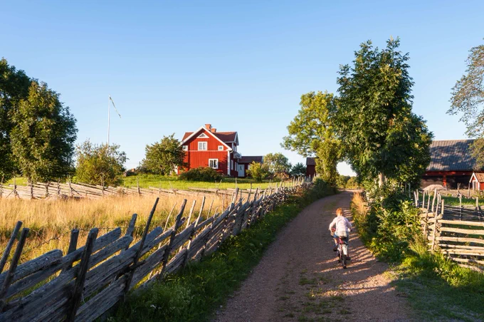 Child riding a bicycle on a dirt path beside wooden fences leading to a red farmhouse under a clear blue sky.