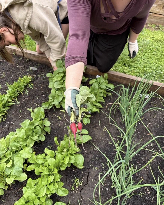 Garden Club- May 2026