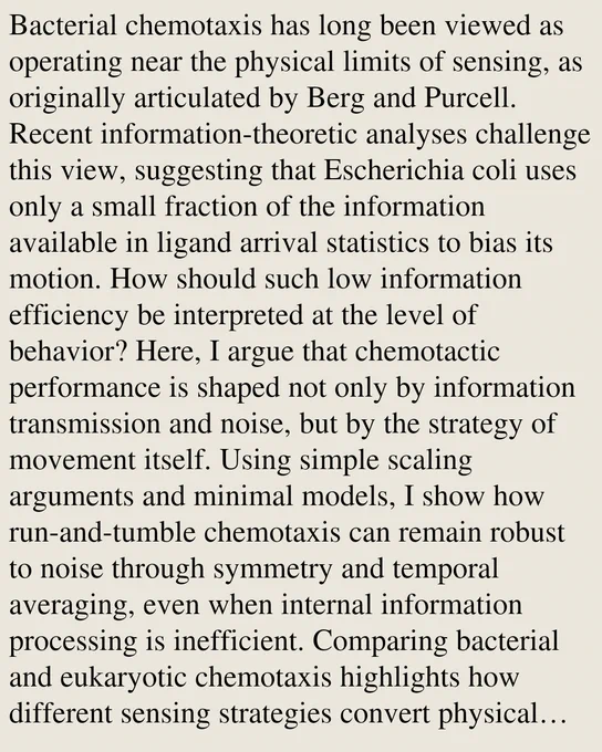 Bacterial chemotaxis has long been viewed as operating near the physical limits of sensing, as originally articulated by Berg and Purcell. Recent information-theoretic analyses challenge this view, suggesting that Escherichia coli uses only a small fraction of the information available in ligand arrival statistics to bias its motion. How should such low information efficiency be interpreted at the level of behavior? Here, I argue that chemotactic performance is shaped not only by information transmission and noise, but by the strategy of movement itself. Using simple scaling arguments and minimal models, I show how run-and-tumble chemotaxis can remain robust to noise through symmetry and temporal averaging, even when internal information processing is inefficient. Comparing bacterial and eukaryotic chemotaxis highlights how different sensing strategies convert physical limits into observable behavior. These considerations suggest that low information efficiency need not imply poor perf