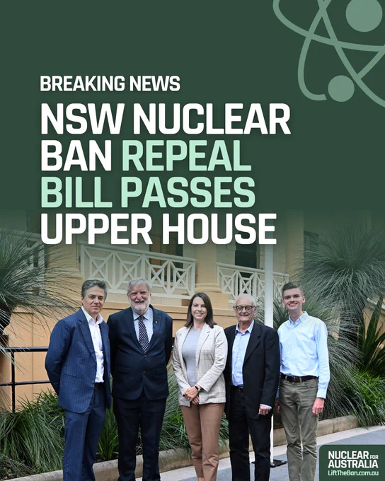 Five people stand together outside, celebrating the passage of the NSW nuclear ban repeal bill. The mood is professional and optimistic.