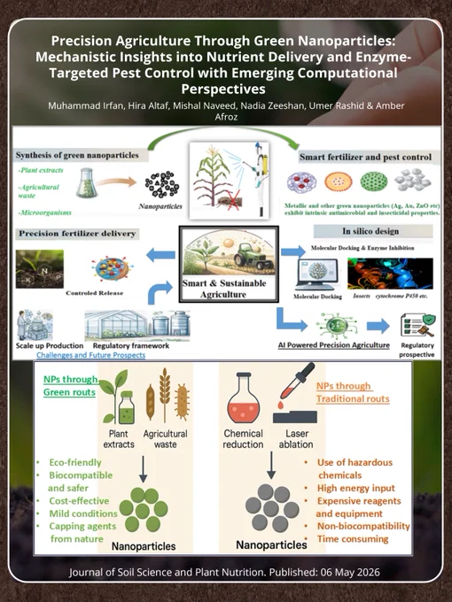 🌱🧪 Paper Highlights | Green Nanotechnology & Precision Agriculture

Precision Agriculture Through Green Nanoparticles: Mechanistic Insights into Nutrient Delivery and Enzyme-Targeted Pest Control with Emerging Computational Perspectives
Irfan et al.

🔑 Highlights
• Green nanoparticles improve nutrient delivery and pest management, supporting more sustainable agricultural systems
• Molecular docking analyses revealed nanoparticle interactions with key pest enzymes such as acetylcholinesterase and cytochrome P450
• AI-assisted nanoparticle design could enhance precision agriculture and resource-use efficiency

🔗 Read the paper:
https://link.springer.com/article/10.1007/s42729-026-03292-8

📘 About us:
Journal of Soil Science and Plant Nutrition (JSSPN), IF: 3.1, Q2.
Published by Springer
https://link.springer.com/journal/42729