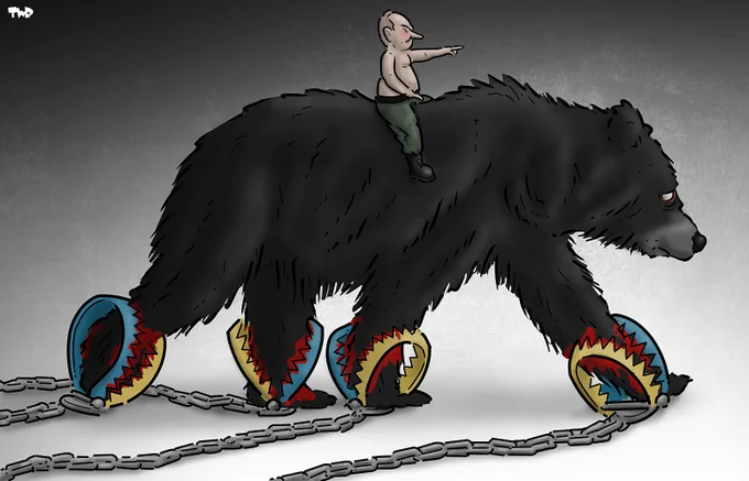 Cartoon showing a bare-chested Putin riding on a bear (representing Russia). The sad-looking bears walks on, despite having all four of his paws caught in bear traps with the colors of the Ukrainian flag.