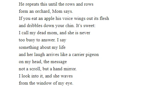 He repeats this until the rows and rows
form an orchard, Mom says.
If you eat an apple his voice wings out its flesh
and dribbles down your chin. It’s sweet:
I call my dead mom, and she is never
too busy to answer. I say
something about my life
and her laugh arrives like a carrier pigeon
on my head, the message
not a scroll, but a hand mirror.
I look into it, and she waves
from the window of my eye.