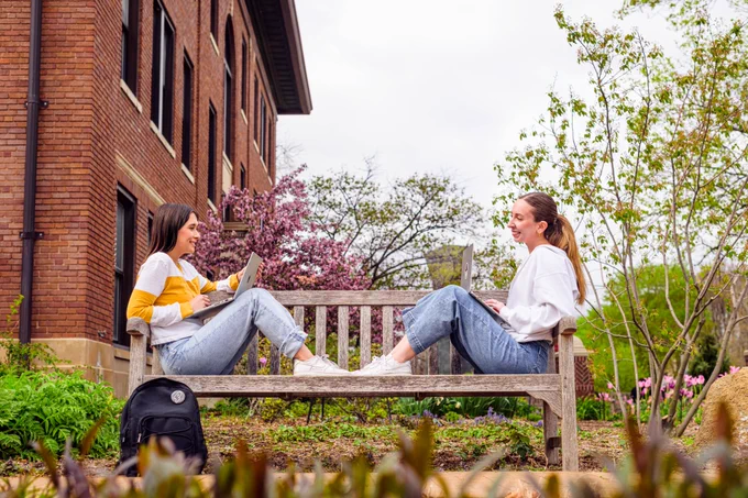 two students sitting on a bench facing each other and studying on laptops - in spring