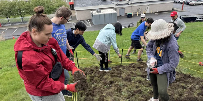 A group of people are participating in a community gardening activity. They are outdoors, working in a grassy area enclosed by yellow string. Some individuals hold tools or clumps of grass.