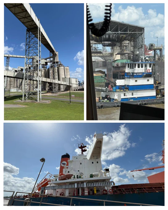 A collage of three images highlighting grain handling and shipping infrastructure. The left image shows tall grain silos connected by elevated conveyor belts and metal framework under a bright blue sky. The top right image shows a towboat docked at a river loading area, positioned beneath a large metal loading structure with pipes and platforms. The bottom image shows a large cargo ship docked along the river, with cranes and loading equipment visible, and a partly cloudy sky overhead.