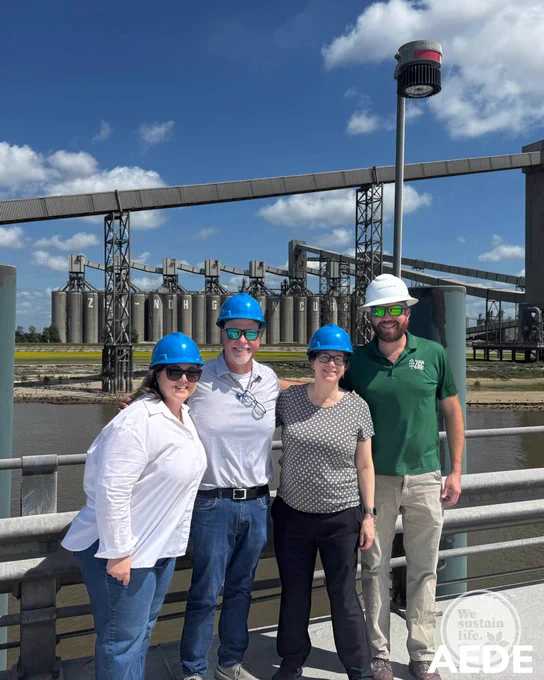 Four individuals wearing safety helmets stand on a platform overlooking a river, with large grain silos, conveyor systems, and industrial infrastructure in the background. A metal railing runs along the foreground, and the sky is bright with scattered clouds. A watermark logo in the lower corner reads “AEDE” and “We sustain life.”