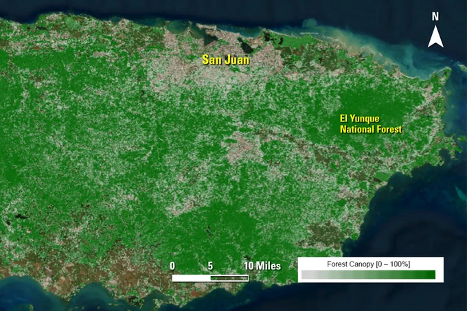 Satellite-derived view of eastern Puerto Rico's dense forest canopy coverage with San Juan and El Yunque National Forest labeled.