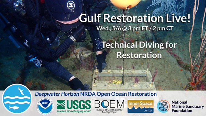 promotional graphic that reads “Gulf Restoration Live! Technical Diving for Restoration” 