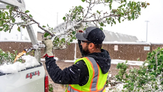A Metro District employee unloads a broken tree branch from his truck during a snowstorm.