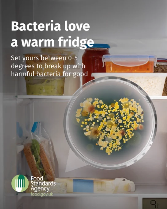 bacteria love a warm fridge