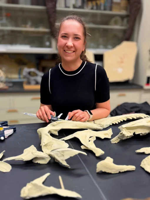 Justyna Słowiak of the Institute of Paleobiology at the Polish Academy of Sciences in Warsaw, seated at a bench in WitmerLab surrounded by casts of skull bones of the Mongolian tyrannosaurid Tarbosaurus.