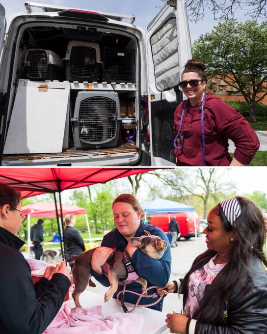 3. Photo - A split image, the top features a woman smiling at the camera, she stands beside the side of her open van where there are a couple of kennels. The bottom image shows a small dog being handled by a worker underneath a red tent. The dog has peanut butter smeared on the snout. The owner smiles 