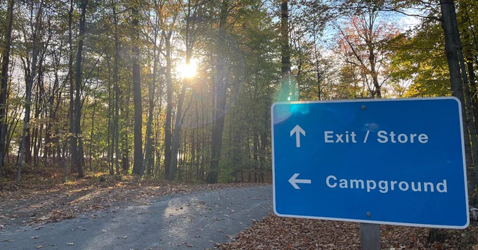 Blue and white sign that reads "Exit / Store" with an arrow pointing forward and "Campground" with an arrow pointing to the left. Behind the sign there is a forest and road, and the sun is shining through the trees.