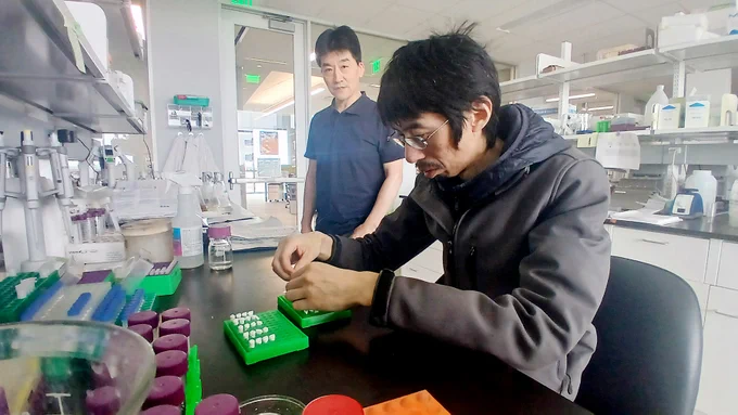 In a laboratory setting, an individual wearing glasses is seated at a workstation, handling small tubes and concentrating on their task. Another person stands nearby, observing. The lab is equipped with various scientific equipment and supplies.