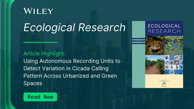 Cover of Wiley's Ecological Research journal featuring cicada calling patterns study in urban and green spaces with city skyline background.