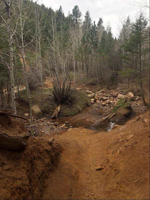 A narrow, earthy trail leads through a forest of tall, sparse trees and thick underbrush. The path crosses a shallow, rocky stream.