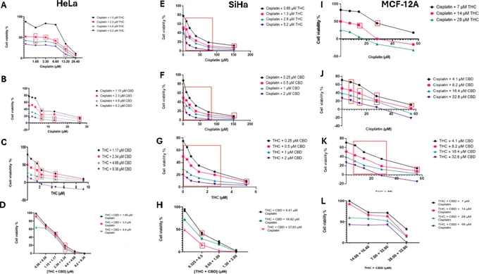 Mathibela, Lebelo & Steenkamp, Cancer Reports, 2026; https://doi.org/10.1002/cnr2.70561