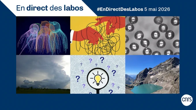 En direct des labos 5 mai 2026