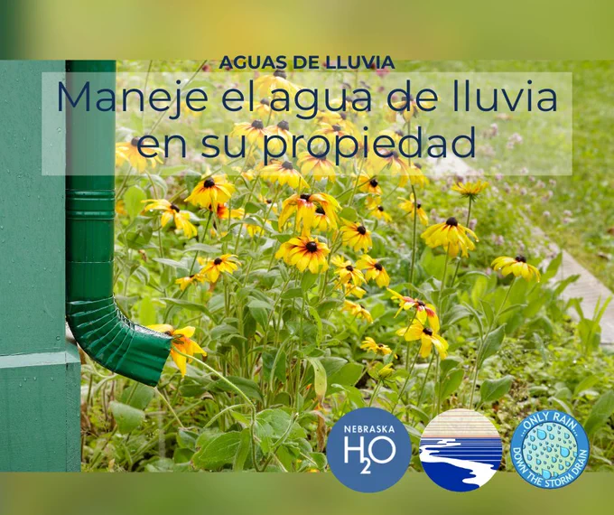 Esta es una imagen de un bajante verde con flores amarillas detrás.