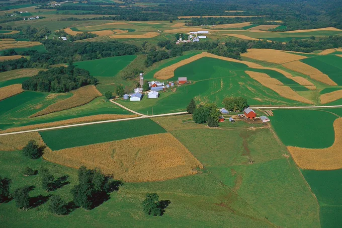 Aerial view of a rural farm with green and golden crop fields separated by dirt roads and scattered trees, with buffers of trees along creeks.