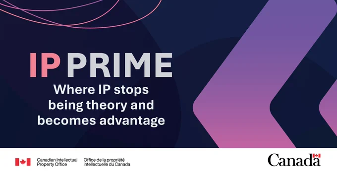 Promotional graphic for IP PRIME on a dark blue background with abstract pink and purple line graphics. Text: IP PRIME. Where IP stops being theory and becomes advantage. 