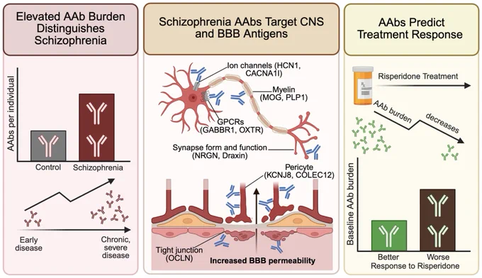 https://www.biorxiv.org/content/10.64898/2026.05.04.722731v1