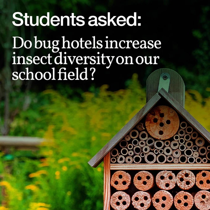 Image of a bug hotel, with the text: Students asked: 'Do bug hotels increase insect diversity on our school field?'