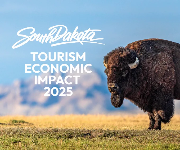 The image features a bison standing on grass with mountains in the background. Text overlay reads "South Dakota Tourism Economic Impact 2025."