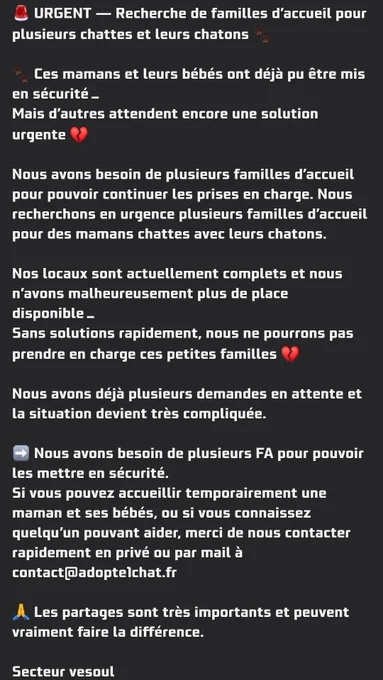 🚨 URGENT — Recherche de familles d’accueil pour plusieurs chattes et leurs chatons 🐾

🐾 Ces mamans et leurs bébés ont déjà pu être mis en sécurité…
Mais d’autres attendent encore une solution urgente 💔

Nous avons besoin de plusieurs familles d’accueil pour pouvoir continuer les prises en charge et les securiser ! Nous recherchons en urgence plusieurs familles d’accueil pour des mamans chattes avec leurs chatons.

Nos locaux sont actuellement complets et nous n’avons malheureusement plus de place disponible…
Sans solutions rapidement, nous ne pourrons pas prendre en charge ces petites familles 💔

Nous avons déjà plusieurs demandes en attente et la situation devient très compliquée.

Si vous pouvez accueillir temporairement une maman et ses bébés, ou si vous connaissez quelqu’un pouvant aider, merci de nous contacter rapidement en privé ou par mail à contact@adopte1chat.fr

🙏 Les partages sont très importants et peuvent faire la différence !