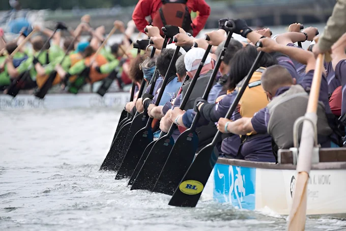A group of dragon boaters digging their paddles into the water