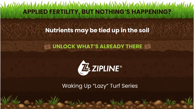 A cross-section of soil layers with grass on top is labeled with various text. At the top, text reads: "Applied fertility, but nothing's happening?" Below, it says: "Nutrients may be tied up in the soil." Further down, it states: "Unlock what’s already there" with two padlock icons. The bottom features the Zipline ST logo and the text "Waking Up 'Lazy' Turf Series.