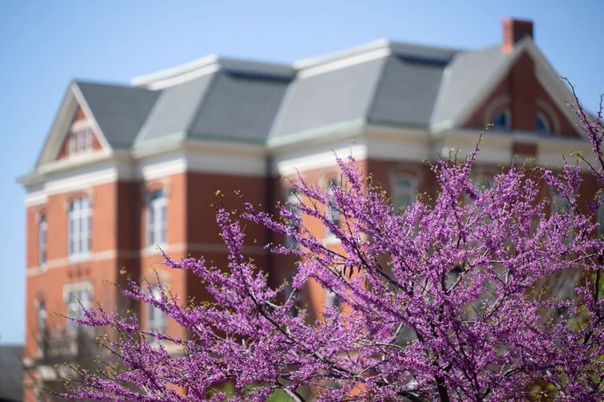 Calvin Hall with pink flowers in the foreground.
