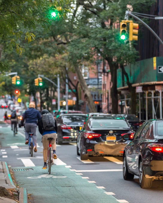 People ride bicycles in a painted green bike lane on a tree-lined street while cars travel alongside them. Multiple traffic lights ahead are green.