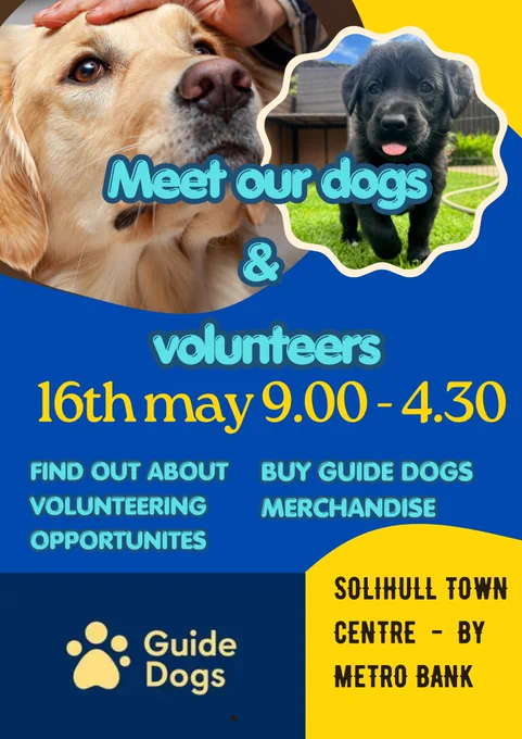 Poster showing a golden Labrador and black Labrador puppy. The poster announces the collection on 16th May 9-4.30