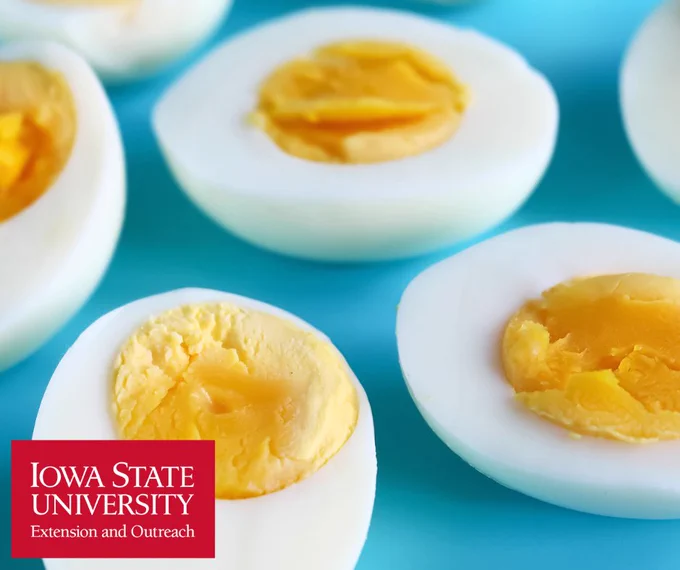 close up of hard boiled egg slices