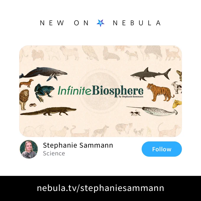 An image of animals, including a whale, shark, tiger, alligator, and more, on a paper-colored background, with text in the middle that reads "Infinite Biosphere by Stephanie Sammann."  Text above and below that reads "New on Nebula" and "nebula.tv/stephaniesammann" respectively. Below the image is a profile picture icon with an image of Stephanie, with Stephanie Sammann written to the right and the word "Science" below.