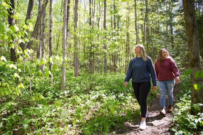 Two people walking on a sunny forest trail. 