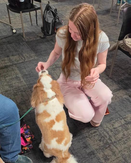 A person sitting on the floor petting a small dog.