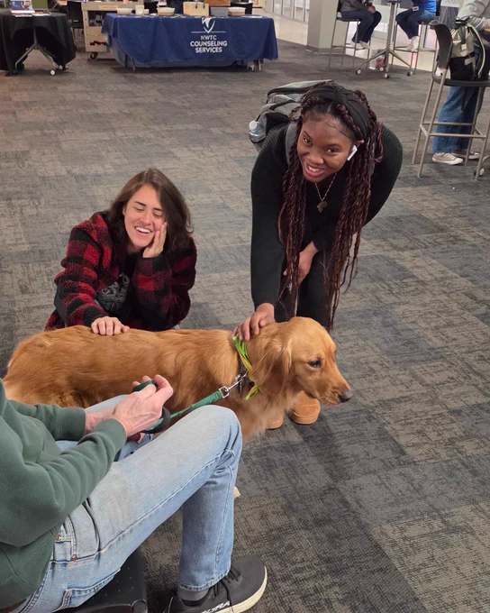 Two people petting a dog. 