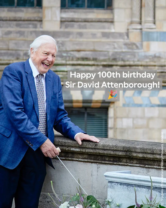 David Attenborough standing outside the Museum wearing a blue jacket and blue and white patterned tie. He is laughing in the image, which features text saying "Happy 100th birthday Sir David Attenborough!"