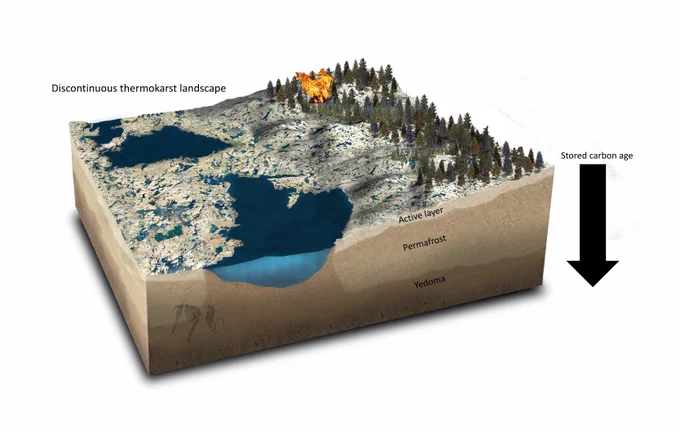 Visual showing a model of different permafrost layers and stored carbon age