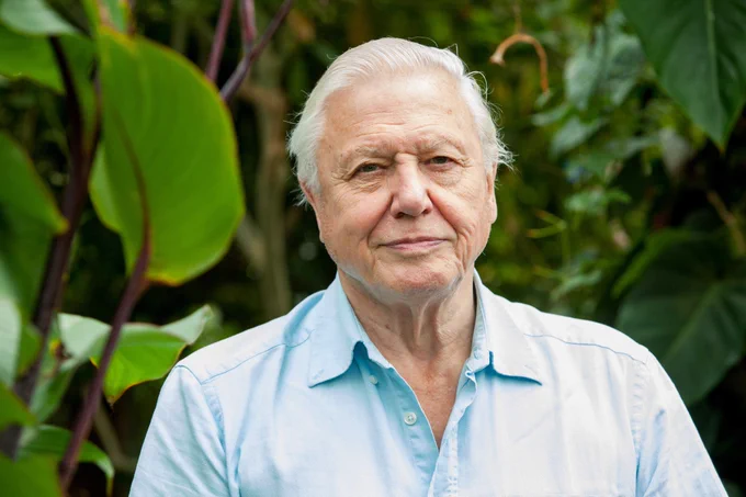David Attenborough in front of a leafy background. It looks like a rainforest. Big leaves etc.