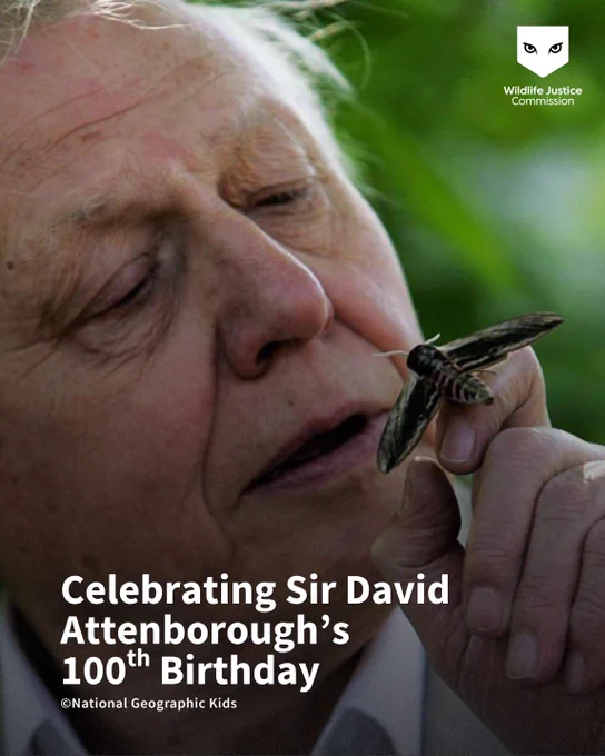 Close-up of Sir David Attenborough gently holding a large moth near his face in a natural green setting.