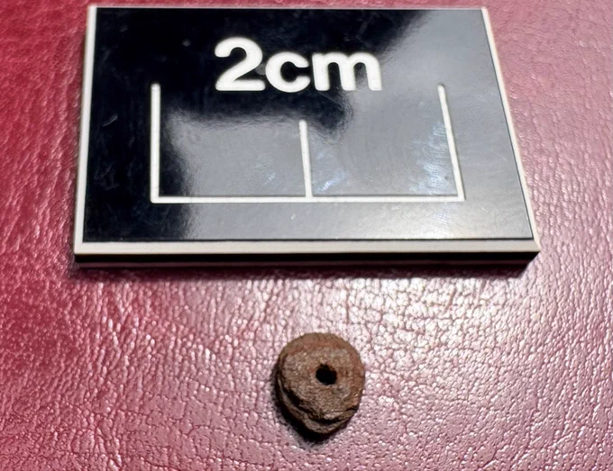 A small, perforated, teardrop shaped piece of pink shale.