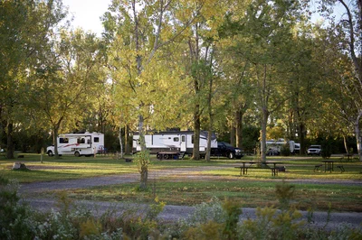 A peaceful campground surrounded by trees, featuring several RVs parked on grassy plots. Picnic tables are placed near the RVs under the shade of the trees. The environment appears calm and natural.